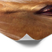 Golden Palomino Kunst/Dichtung/Musik Poster (Ecke)