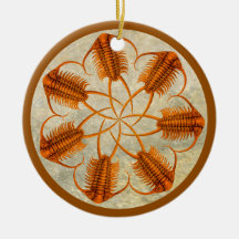 Golden Paraceraurus Fossilienrad