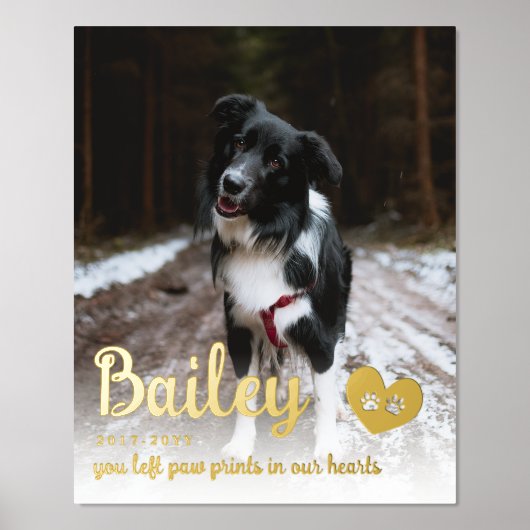 Golden Paw Prints in unserem Hearts Dog Memorial Foliendrucke (Vorderseite)