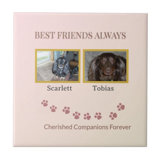 Golden Pawprints Cherished Companions Fliese (Vorderseite)