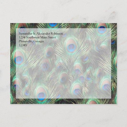 Golden Peacock Feather Hintergrund Save the Date Ankündigungspostkarte (Rückseite)