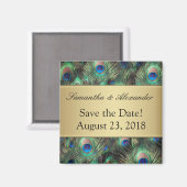 Golden Peacock Feather Hintergrund Save the Date Magnet (Vorderseite/Rückseite)