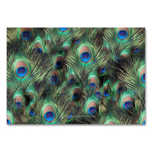 Golden Peacock Feather Table Place Name Cards Tischnummer (Rückseite)