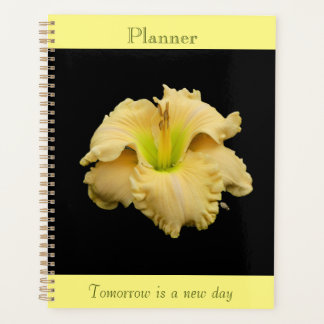 Golden Pedals Lily Planer