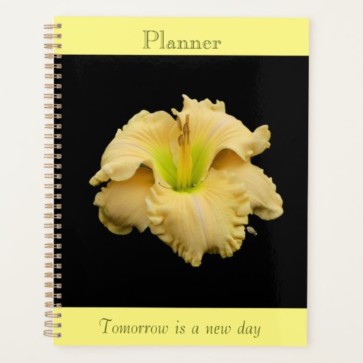 Golden Pedals Lily Planer (Vorderseite)