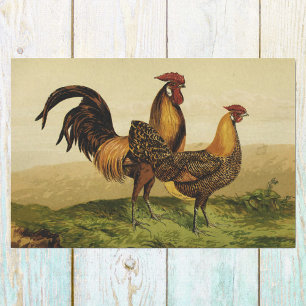 Golden Penciled Hamburg Roosters and Hens on Farm Seidenpapier