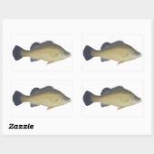 Golden Perch Rechteckiger Aufkleber (Blatt)
