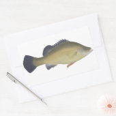 Golden Perch Rechteckiger Aufkleber (Umschlag)