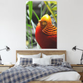 Golden Pheasant Bird Leinwanddruck (Insitu (Schlafzimmer))
