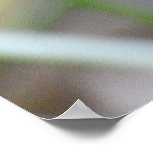 Golden Pheasant Bird Poster (Ecke)