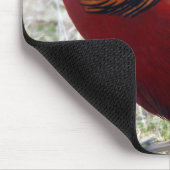 Golden Pheasant - Chrysolophus pictus Mousepad (Ecke)