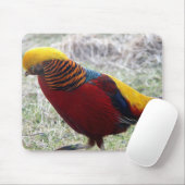 Golden Pheasant - Chrysolophus pictus Mousepad (Mit Mouse)