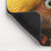 Golden Pheasant Mousepad (Ecke)
