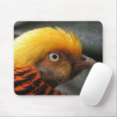 Golden Pheasant Mousepad (Mit Mouse)