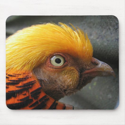 Golden Pheasant Mousepad (Vorne)
