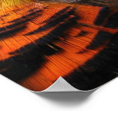 Golden Pheasant Poster (Ecke)