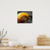Golden Pheasant Poster (Küche)