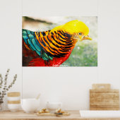 Golden Pheasant Poster (Küche)