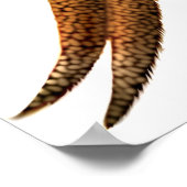 Golden Pheasant Print Poster (Ecke)