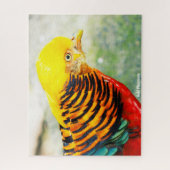 Golden Pheasant Puzzle (Vertikal)