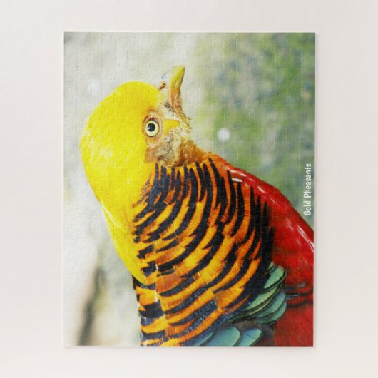 Golden Pheasant Puzzle (Vertikal)