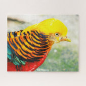 Golden Pheasant Puzzle (Horizontal)