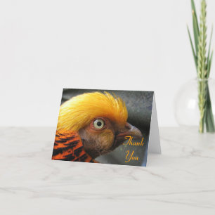 Golden Pheasant Vielen Dank Note Card Dankeskarte
