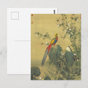 Golden Pheasants im Frühling, antike chinesische K Postkarte