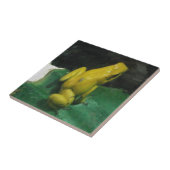 Golden Poison Dart Frog/Phyllobates Terbilis Fliese (Seite)