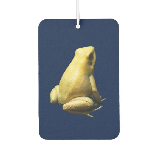 Golden Poison Frog Autolufterfrischer (Vorderseite)