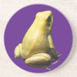 Golden Poison Frog Getränkeuntersetzer