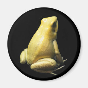 Golden Poison Frog Magnet