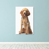Golden Poodle Hund mit einem Stethoskop Leinwanddruck (Insitu (Holzboden))