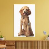 Golden Poodle Hund mit einem Stethoskop Leinwanddruck (Insitu (Wohnzimmer))