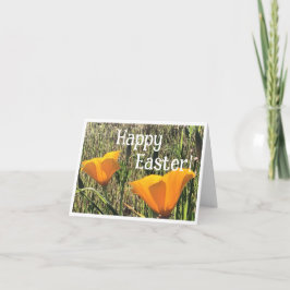 Golden Poppies Easter Card 1 Dankeskarte