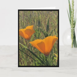Golden Poppies Easter Card 3 Karte