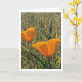 Golden Poppies (Inside Blank) Karte (Gelbe Blume)