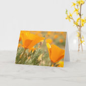 Golden Poppies Karte (Gelbe Blume)