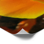 Golden Poppies Poster (Ecke)