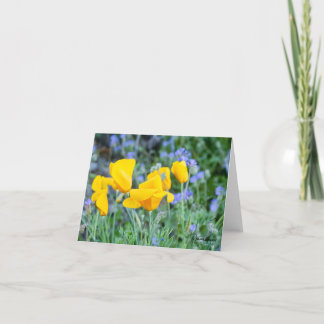 Golden poppies to show you care dankeskarte