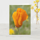 Golden Poppy Blume Karte (Gelbe Blume)