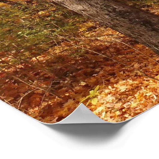 Golden Poster (Ecke)