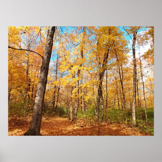 Golden Poster (Vorne)