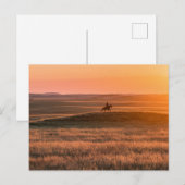 Golden Prairie Party Invitation - Classic Western  Postkarte (Vorne/Hinten)