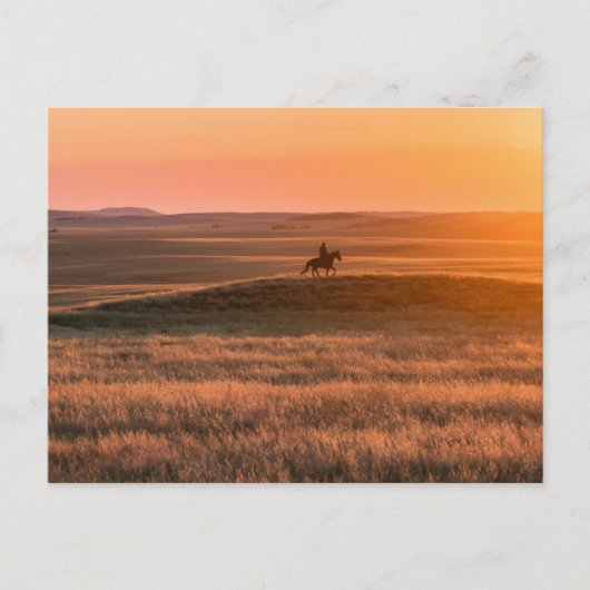 Golden Prairie Party Invitation - Classic Western  Postkarte (Vorderseite)