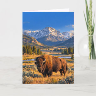 Golden Prairie Wildlife Amerikanischer Bison Blank Karte