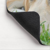 Golden Pup Mousepad (Ecke)