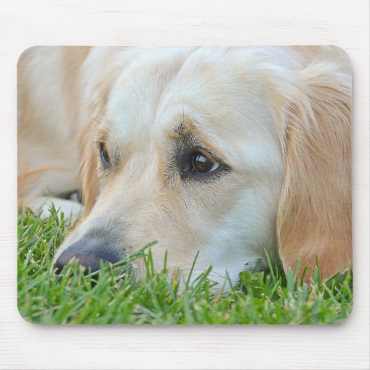 Golden Pup Mousepad (Vorne)