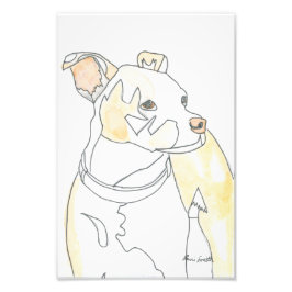 Golden Pup Print Fotodruck