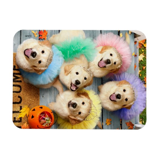 Golden Puppies Trick oder Behandlung Magnet (Horizontal)